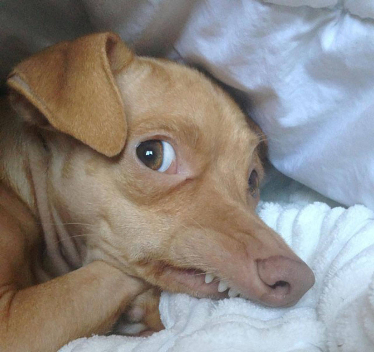 Daily Pictures. Part 1 (68 pics) Daily Pictures. Part 1 (68 pics)