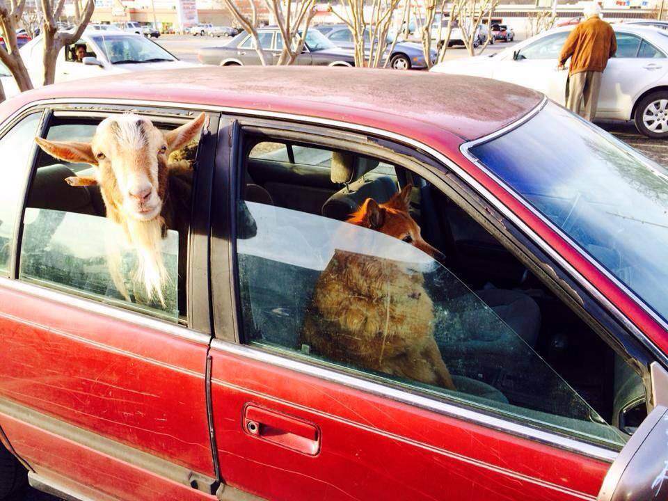 Daily Pictures. Part 2 (67 pics) Daily Pictures. Part 2 (67 pics)