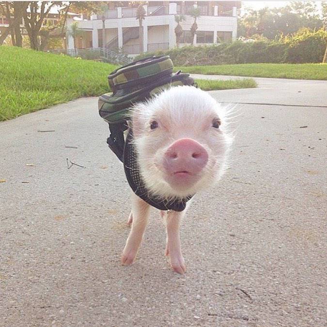 Daily Pictures. Part 1 (68 pics) Daily Pictures. Part 1 (68 pics)