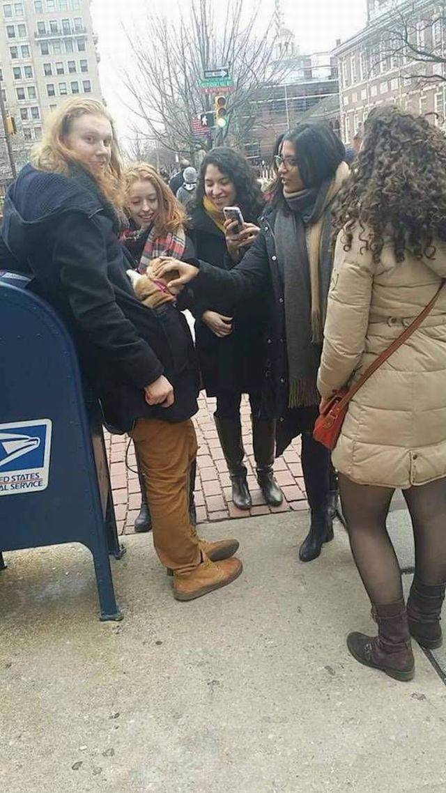 Daily Pictures. Part 2 (67 pics) Daily Pictures. Part 2 (67 pics)