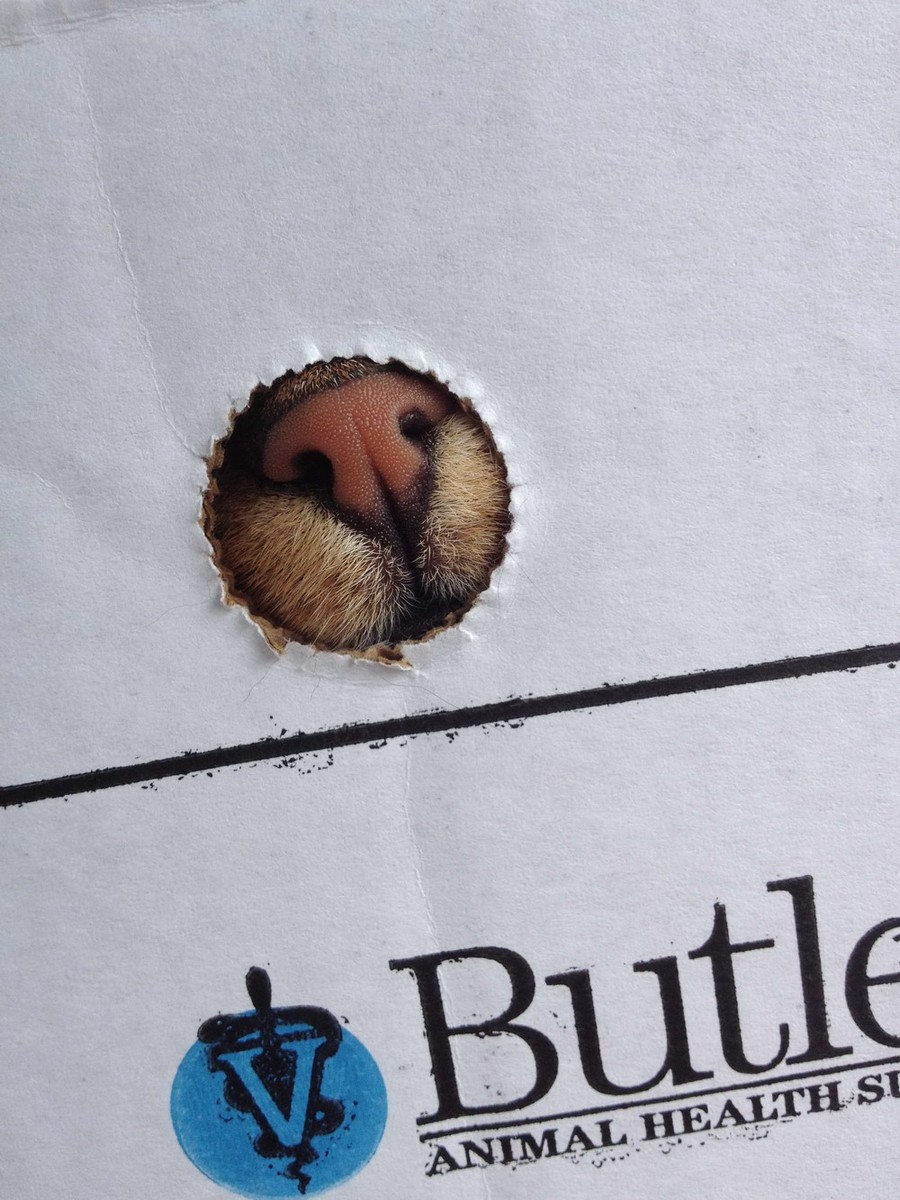 Daily Pictures. Part 2 (67 pics) Daily Pictures. Part 2 (67 pics)