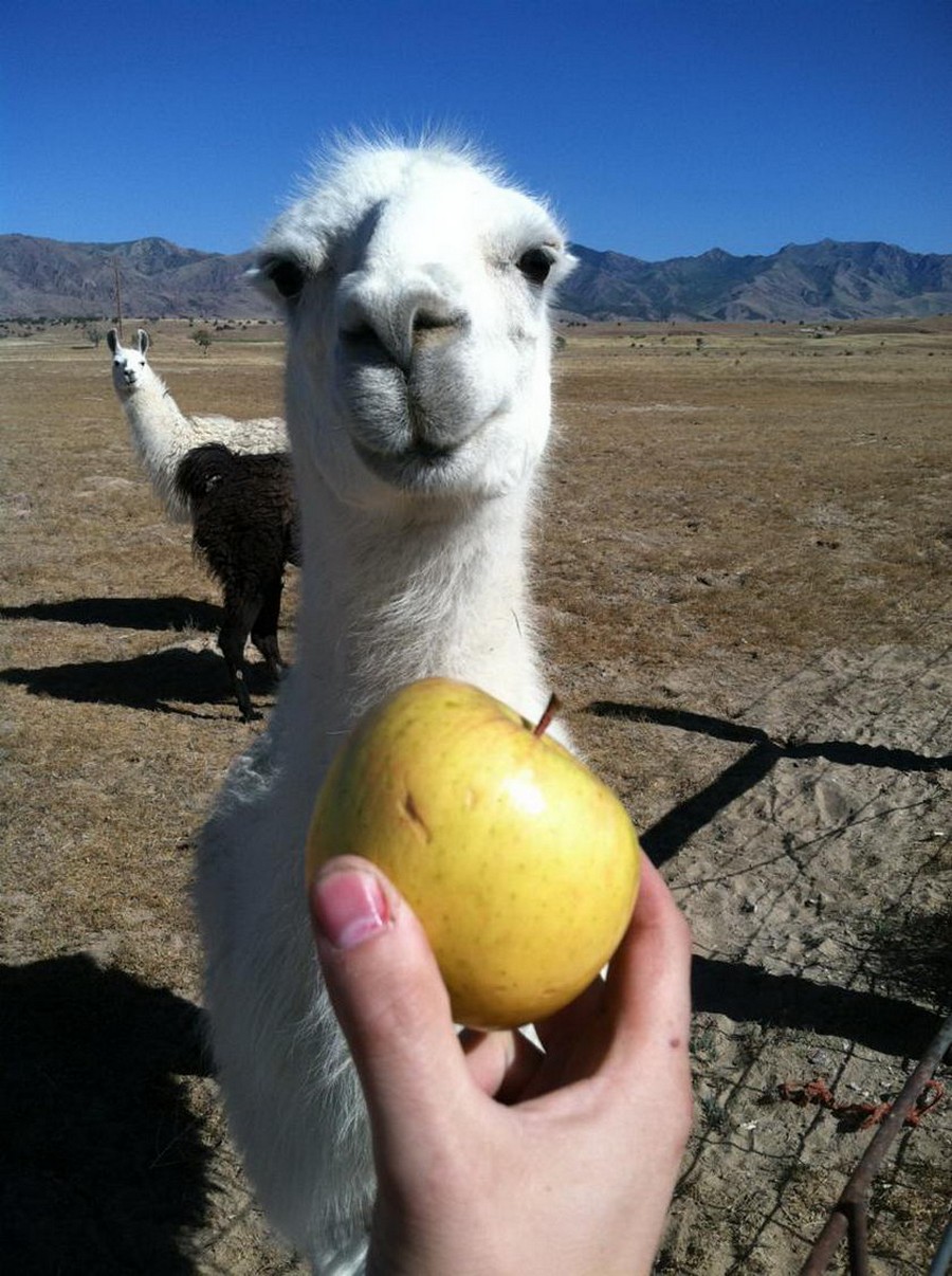 Daily Pictures. Part 2 (67 pics) Daily Pictures. Part 2 (67 pics)