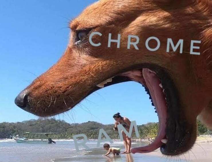 Daily Pictures. Part 2 (67 pics) Daily Pictures. Part 2 (67 pics)