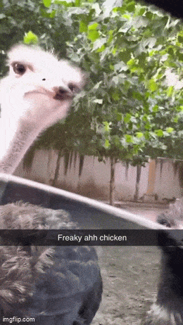 Acid GIFs, February 26 (25 gifs) Acid GIFs, February 26 (25 gifs)