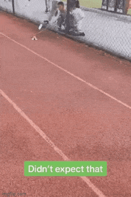 Acid GIFs, February 26 (25 gifs) Acid GIFs, February 26 (25 gifs)