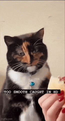 Acid GIFs, February 26 (25 gifs) Acid GIFs, February 26 (25 gifs)