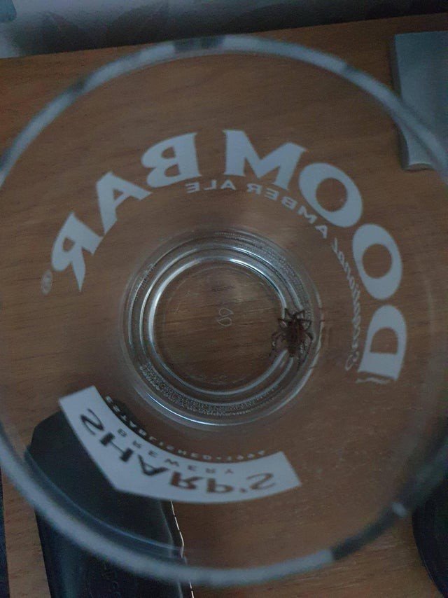 Annoying Situations (15 pics)