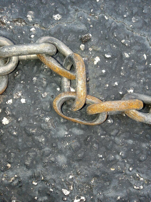 Time Changes Everything (19 pics) Time Changes Everything (19 pics)