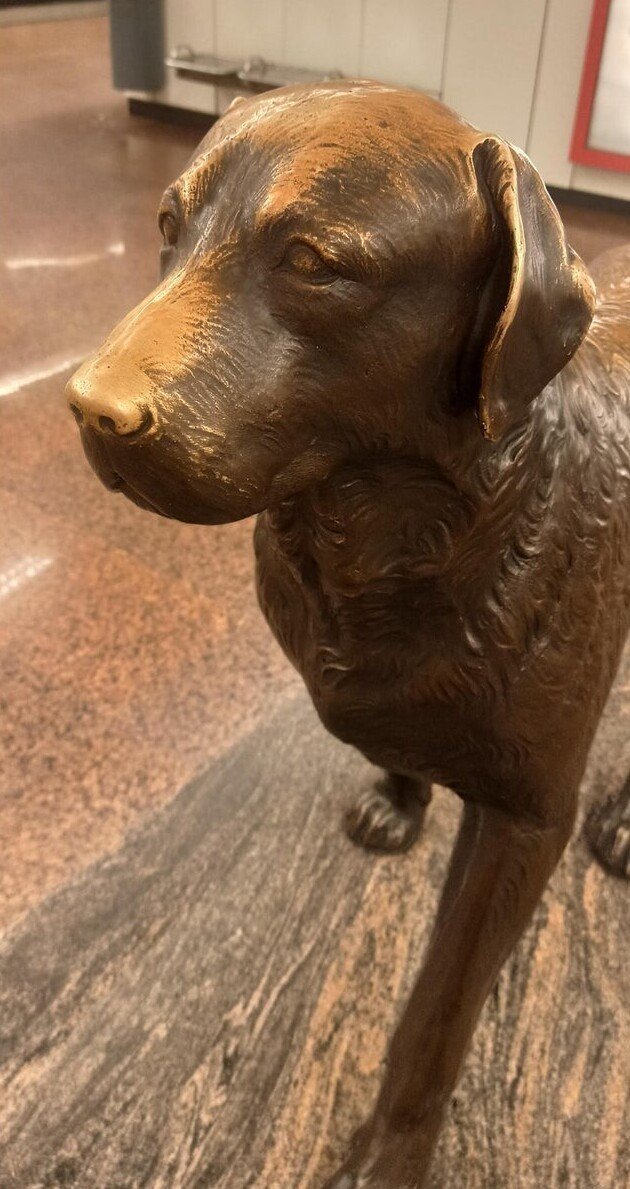 Time Changes Everything (19 pics) Time Changes Everything (19 pics)