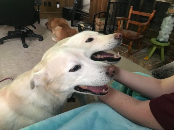 Optical Illusions (15 pics) Optical Illusions (15 pics)