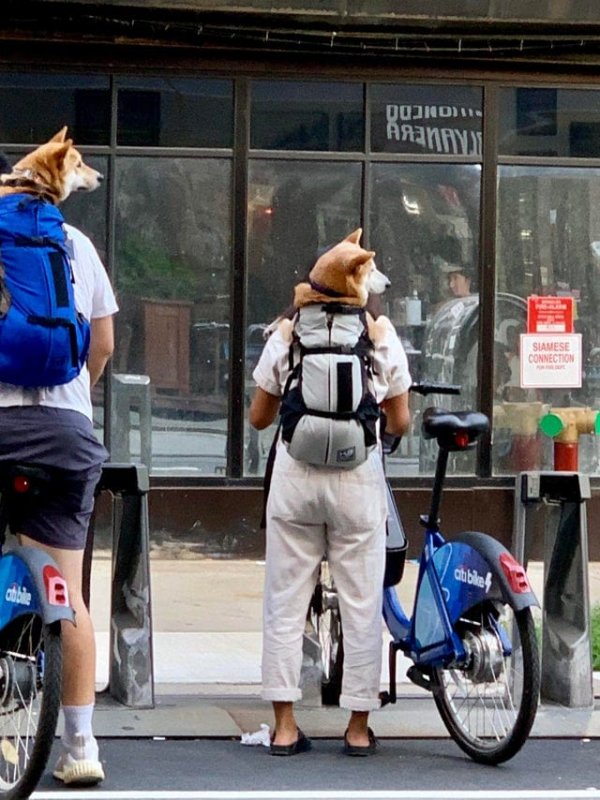 Optical Illusions (15 pics) Optical Illusions (15 pics)