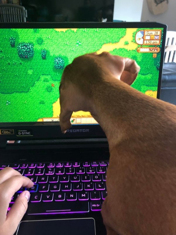 Optical Illusions (15 pics)