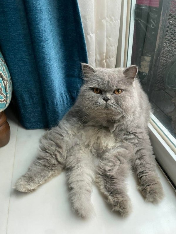 Optical Illusions (15 pics) Optical Illusions (15 pics)