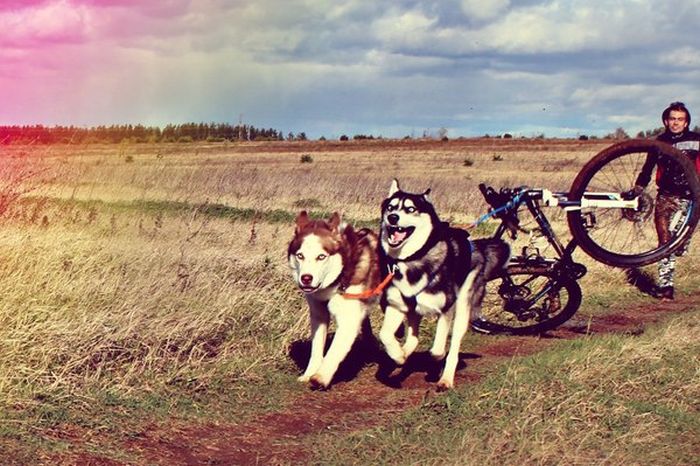 Daily Pictures. Part 1 (73 pics) Daily Pictures. Part 1 (73 pics)