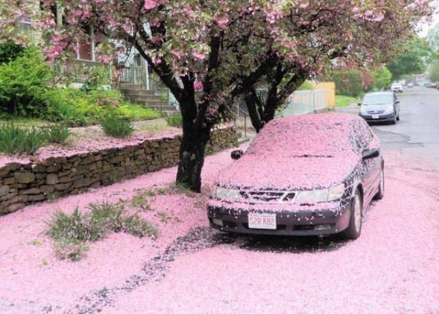 Daily Pictures. Part 1 (73 pics) Daily Pictures. Part 1 (73 pics)