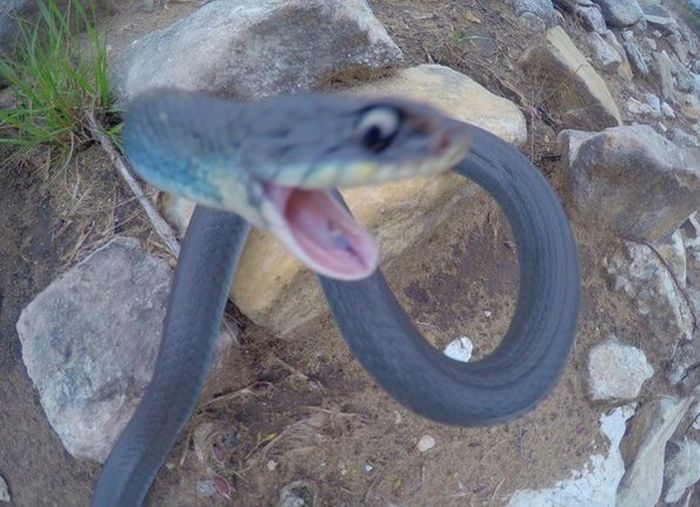 Daily Pictures. Part 1 (73 pics) Daily Pictures. Part 1 (73 pics)