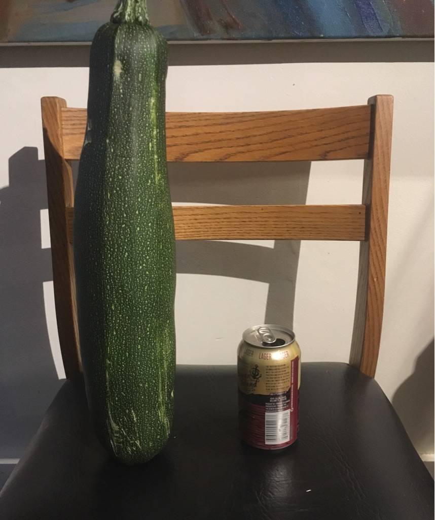 Daily Pictures. Part 1 (73 pics) Daily Pictures. Part 1 (73 pics)