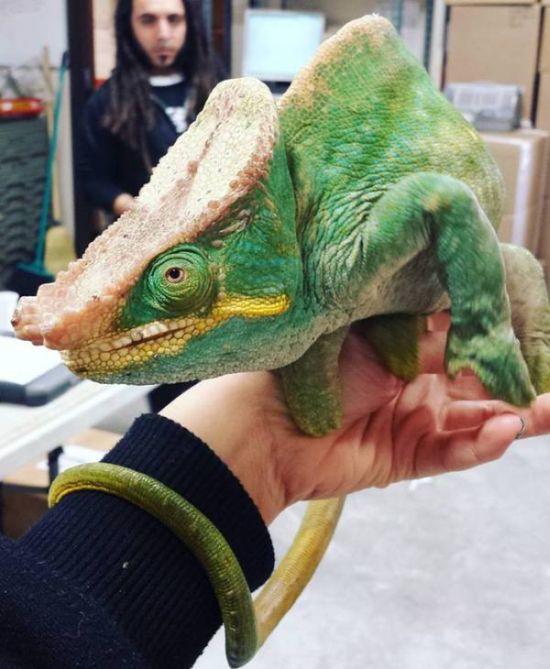 Daily Pictures. Part 1 (73 pics) Daily Pictures. Part 1 (73 pics)