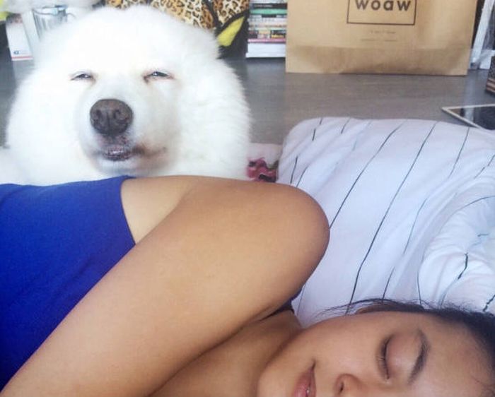 Daily Pictures. Part 1 (73 pics) Daily Pictures. Part 1 (73 pics)