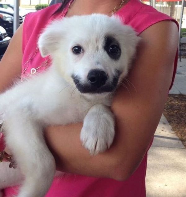 Daily Pictures. Part 1 (73 pics) Daily Pictures. Part 1 (73 pics)