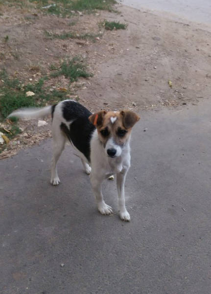 Daily Pictures. Part 1 (73 pics) Daily Pictures. Part 1 (73 pics)