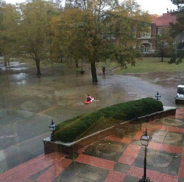 Daily Pictures. Part 1 (73 pics) Daily Pictures. Part 1 (73 pics)