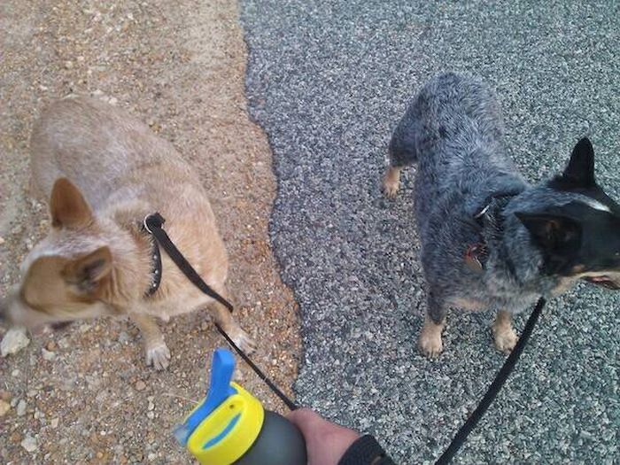 Daily Pictures. Part 1 (73 pics) Daily Pictures. Part 1 (73 pics)