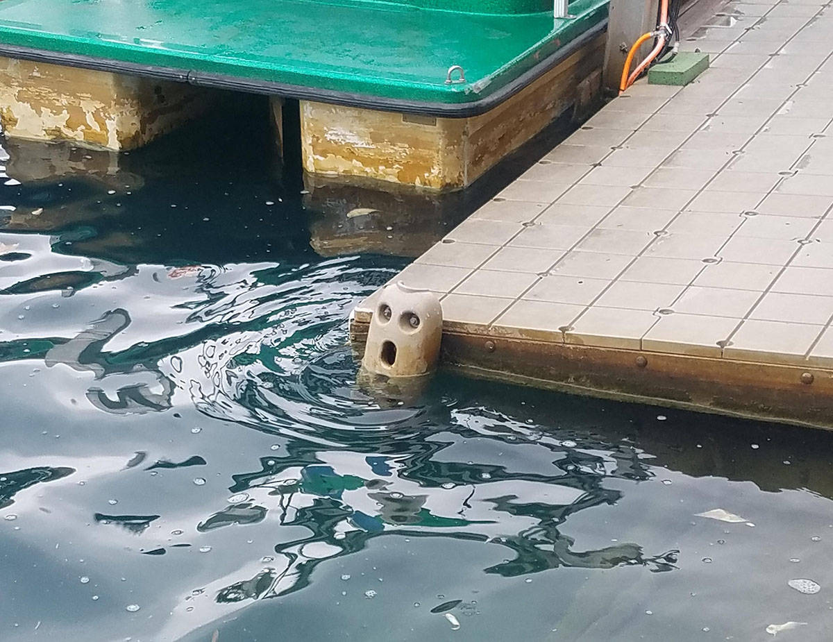 Daily Pictures. Part 1 (73 pics) Daily Pictures. Part 1 (73 pics)