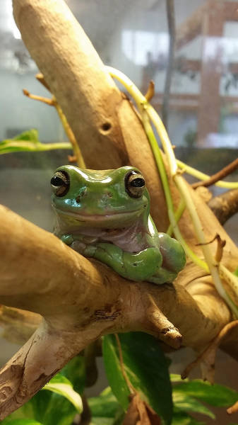 Daily Pictures. Part 1 (73 pics) Daily Pictures. Part 1 (73 pics)