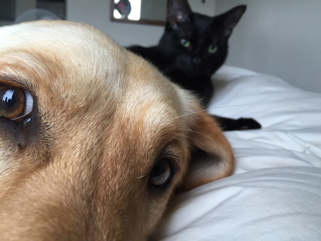 Daily Pictures. Part 1 (73 pics) Daily Pictures. Part 1 (73 pics)