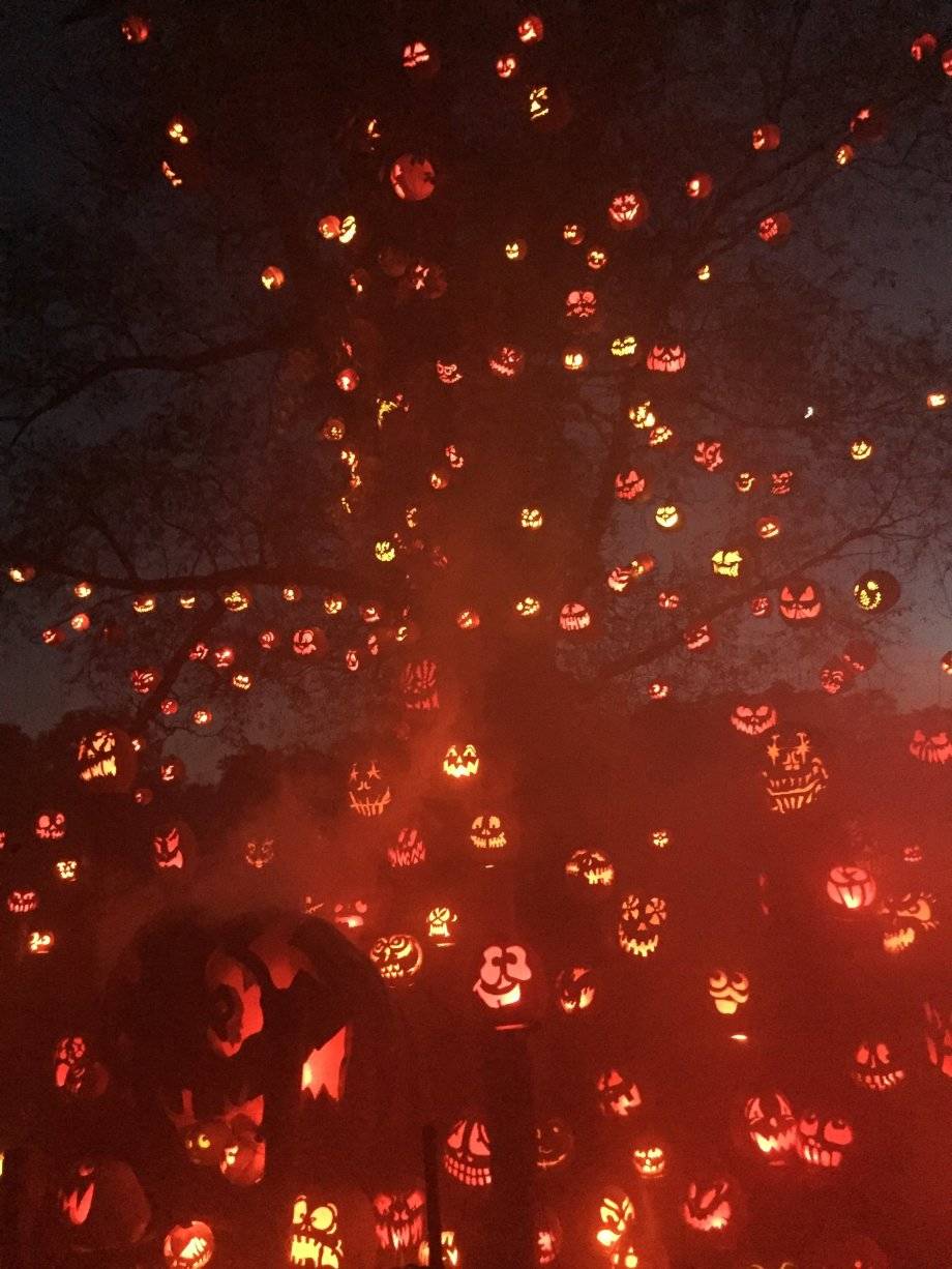 Daily Pictures. Part 1 (73 pics) Daily Pictures. Part 1 (73 pics)