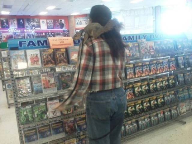 Daily Pictures. Part 1 (73 pics) Daily Pictures. Part 1 (73 pics)