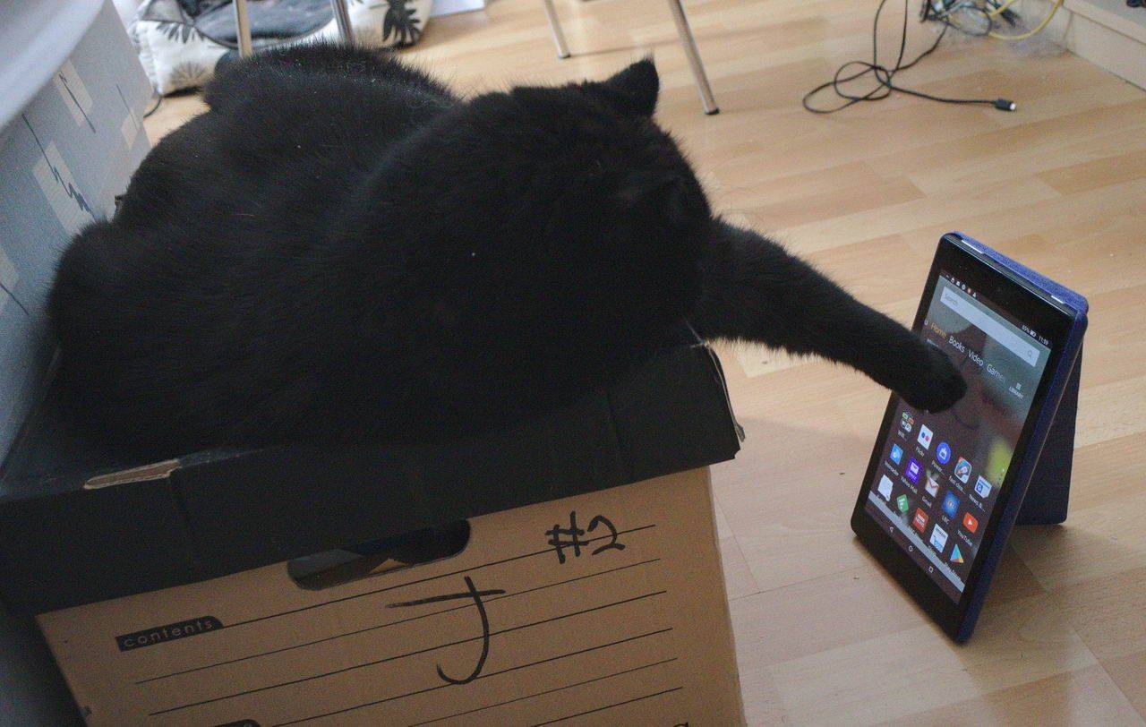 Daily Pictures. Part 2 (71 pics) Daily Pictures. Part 2 (71 pics)