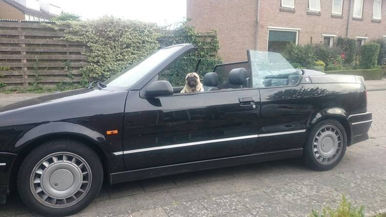 Daily Pictures. Part 1 (73 pics) Daily Pictures. Part 1 (73 pics)