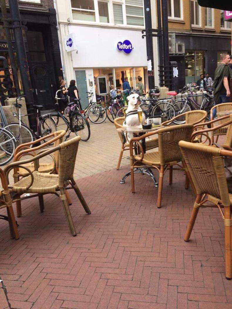 Daily Pictures. Part 2 (71 pics) Daily Pictures. Part 2 (71 pics)