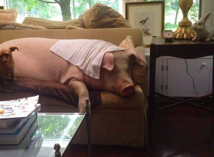 Daily Pictures. Part 2 (71 pics) Daily Pictures. Part 2 (71 pics)