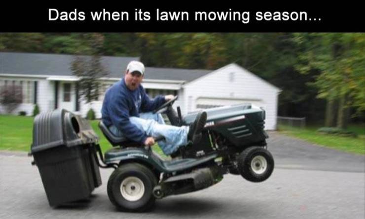 Daily Pictures. Part 2 (71 pics) Daily Pictures. Part 2 (71 pics)