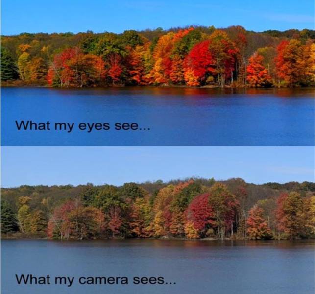 Daily Pictures. Part 2 (71 pics) Daily Pictures. Part 2 (71 pics)