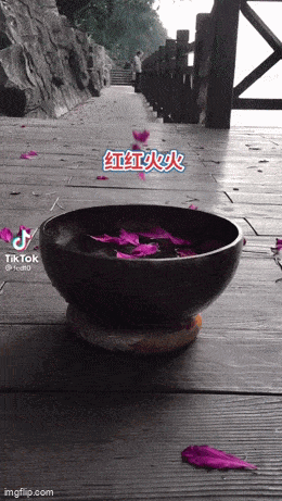 Acid GIFs, February 27 (25 gifs) Acid GIFs, February 27 (25 gifs)