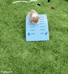 Acid GIFs, February 27 (25 gifs) Acid GIFs, February 27 (25 gifs)