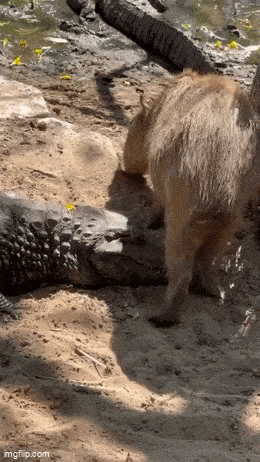 Acid GIFs, February 27 (25 gifs) Acid GIFs, February 27 (25 gifs)