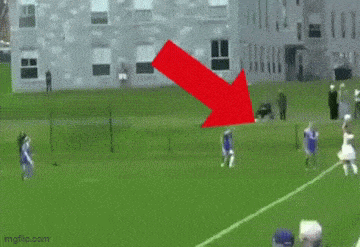 Acid GIFs, February 27 (25 gifs) Acid GIFs, February 27 (25 gifs)