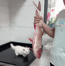 Acid GIFs, February 27 (25 gifs) Acid GIFs, February 27 (25 gifs)