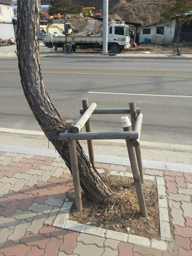 They Don't Care About The Rules (15 pics) They Don't Care About The Rules (15 pics)