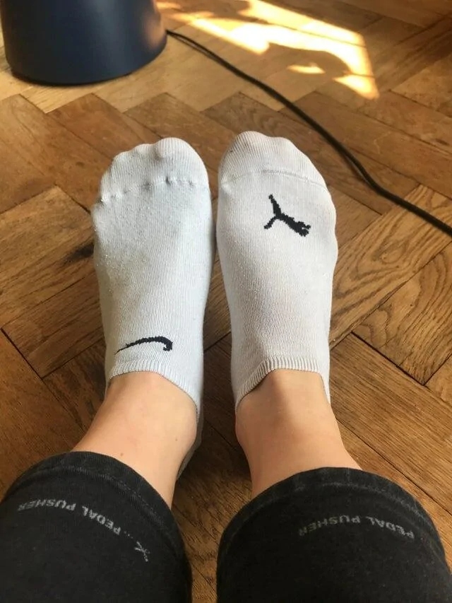 They Don't Care About The Rules (15 pics)