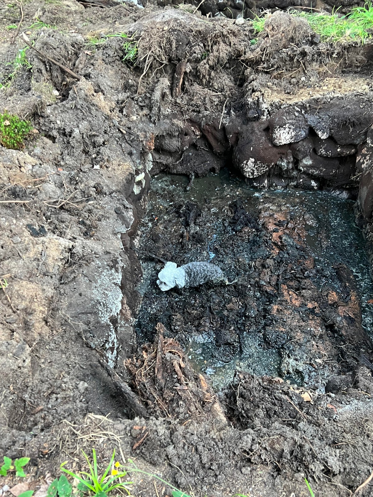 Bad Days Happen (23 pics) Bad Days Happen (23 pics)