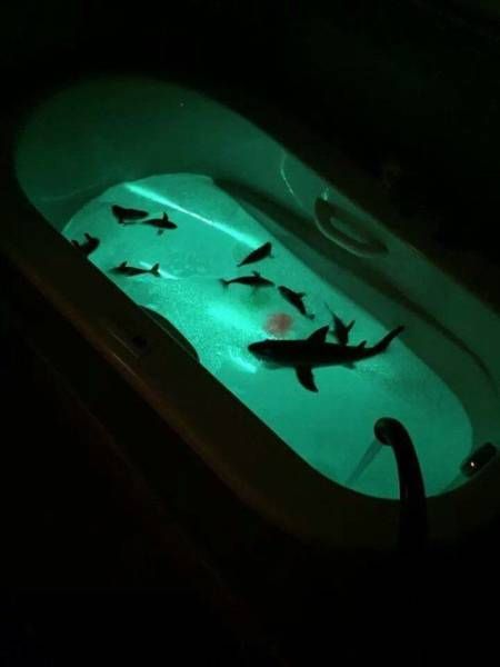 Daily Pictures. Part 1 (68 pics) Daily Pictures. Part 1 (68 pics)