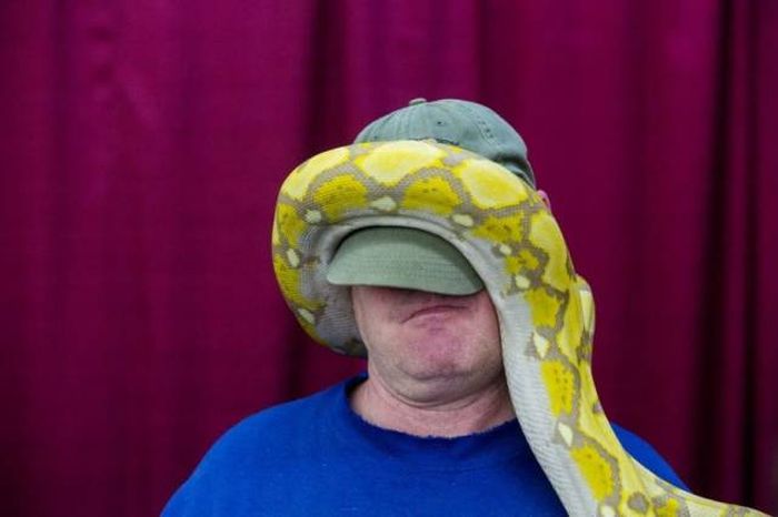 Daily Pictures. Part 1 (68 pics) Daily Pictures. Part 1 (68 pics)