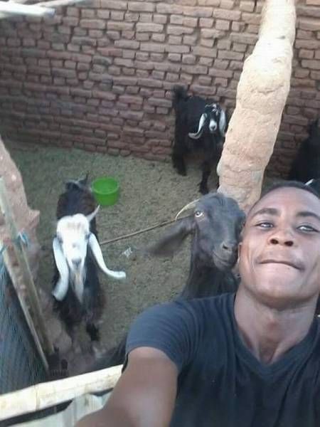 Daily Pictures. Part 1 (68 pics) Daily Pictures. Part 1 (68 pics)