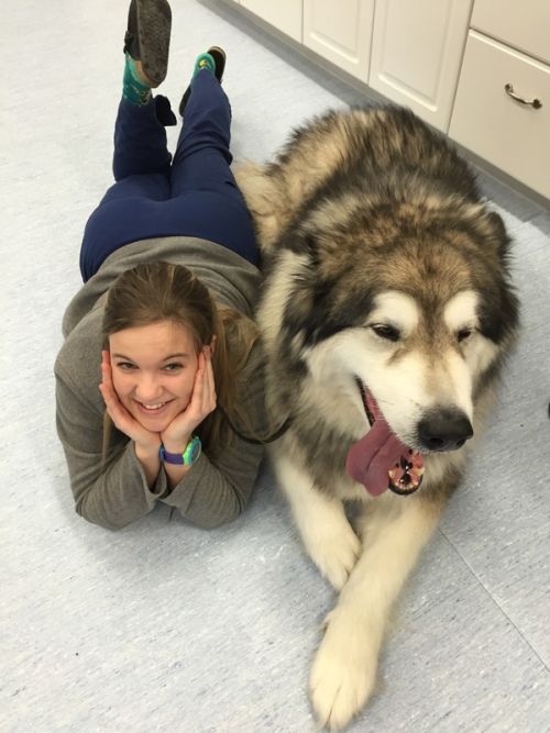 Daily Pictures. Part 1 (68 pics) Daily Pictures. Part 1 (68 pics)